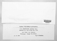 Fusicoccum advenum image